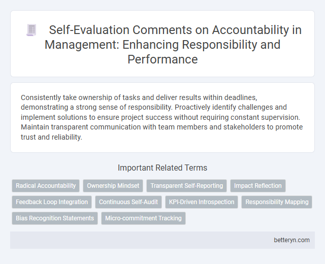 Self-Evaluation Comments on Accountability in Management: Enhancing Responsibility and Performance