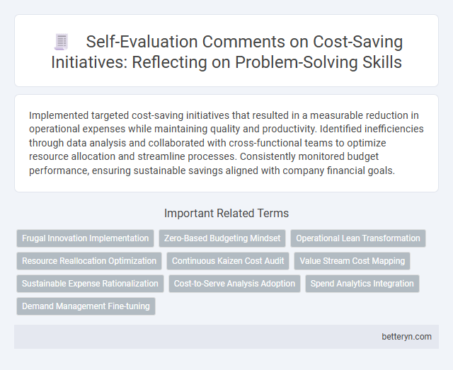 Self-Evaluation Comments on Cost-Saving Initiatives: Reflecting on Problem-Solving Skills