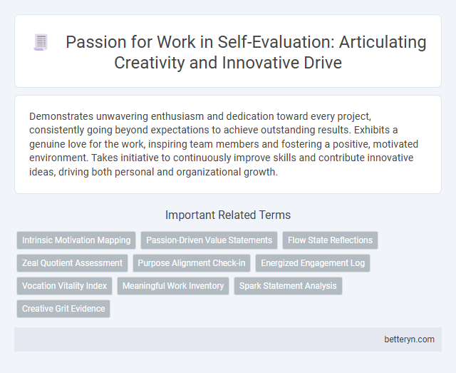 Passion for Work in Self-Evaluation: Articulating Creativity and Innovative Drive