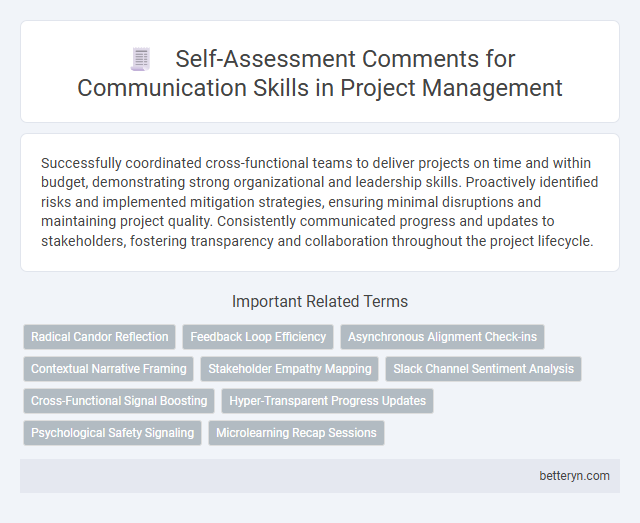 Self-Assessment Comments for Communication Skills in Project Management