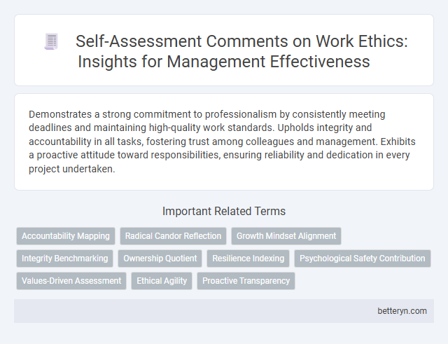 Self-Assessment Comments on Work Ethics: Insights for Management Effectiveness