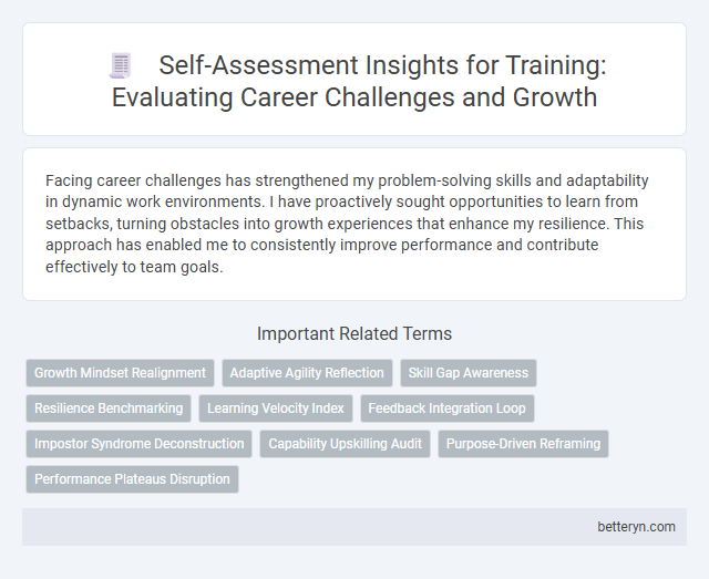 Self-Assessment Insights for Training: Evaluating Career Challenges and Growth