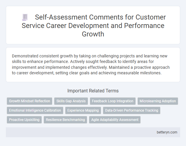Self-Assessment Comments for Customer Service Career Development and Performance Growth