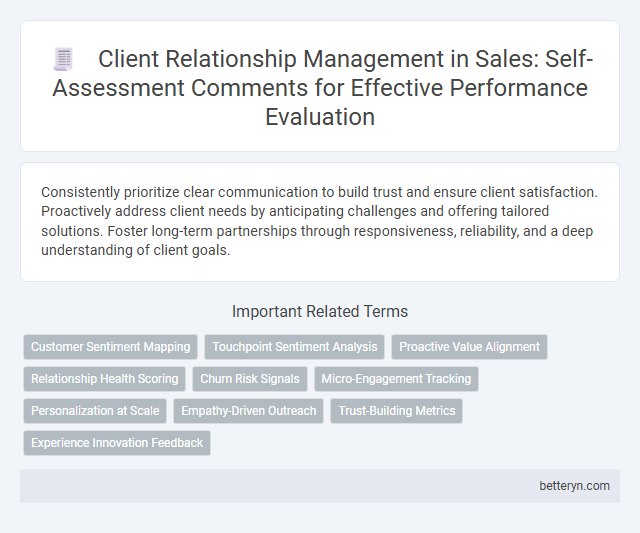 Client Relationship Management in Sales: Self-Assessment Comments for Effective Performance Evaluation