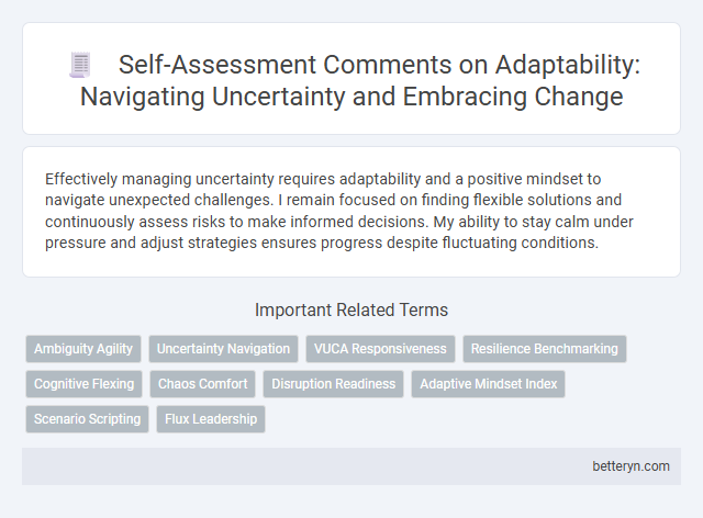 Self-Assessment Comments on Adaptability: Navigating Uncertainty and Embracing Change
