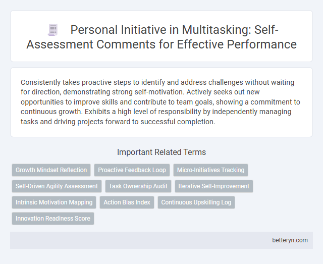 Personal Initiative in Multitasking: Self-Assessment Comments for Effective Performance