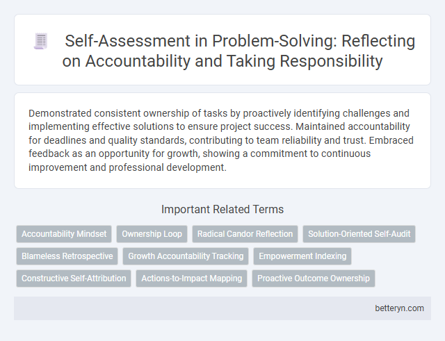 Self-Assessment in Problem-Solving: Reflecting on Accountability and Taking Responsibility