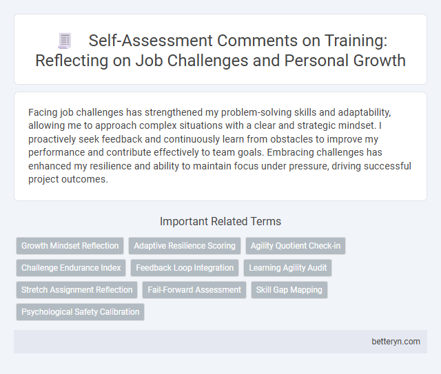 Self-Assessment Comments on Training: Reflecting on Job Challenges and Personal Growth