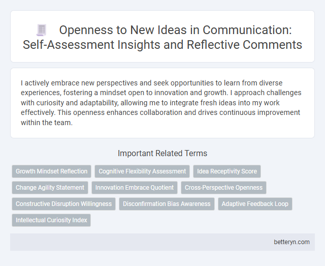 Openness to New Ideas in Communication: Self-Assessment Insights and Reflective Comments