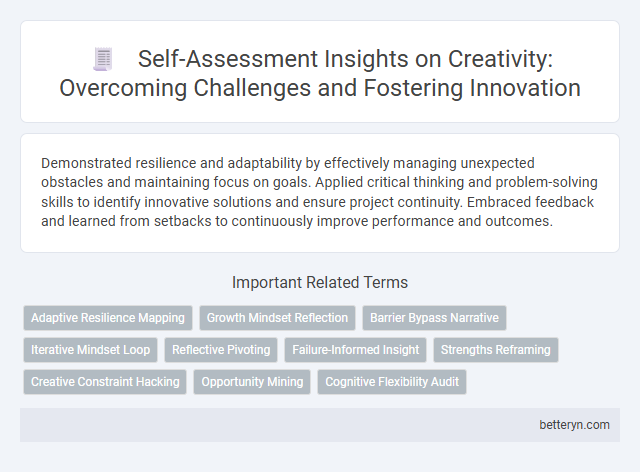 Self-Assessment Insights on Creativity: Overcoming Challenges and Fostering Innovation