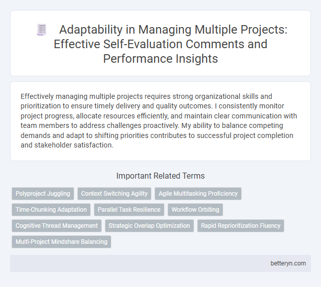 Adaptability in Managing Multiple Projects: Effective Self-Evaluation Comments and Performance Insights