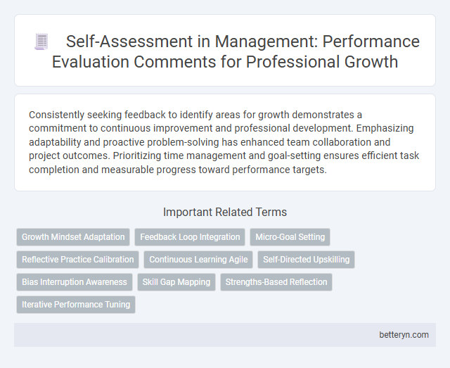 Self-Assessment in Management: Performance Evaluation Comments for Professional Growth