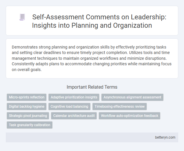Self-Assessment Comments on Leadership: Insights into Planning and Organization