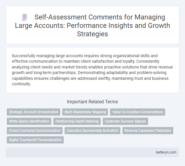 Self-Assessment Comments for Managing Large Accounts: Performance Insights and Growth Strategies