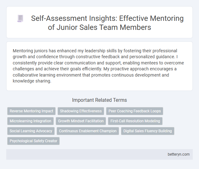 Self-Assessment Insights: Effective Mentoring of Junior Sales Team Members