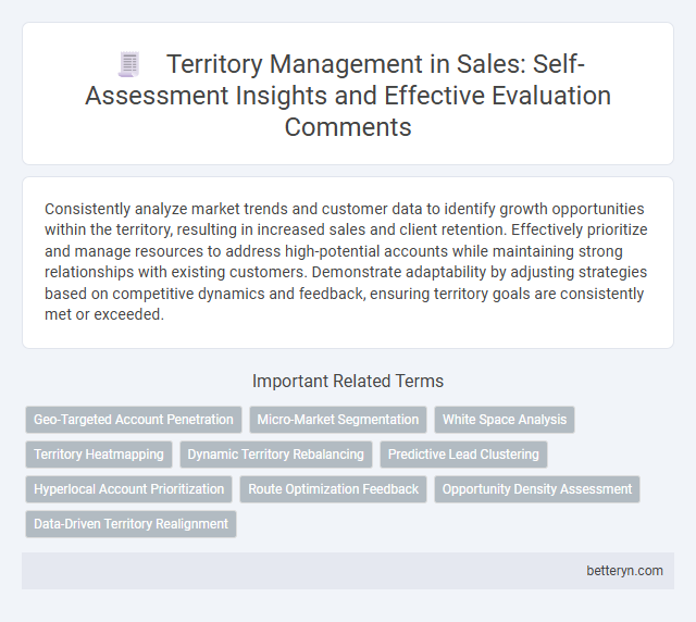 Territory Management in Sales: Self-Assessment Insights and Effective Evaluation Comments