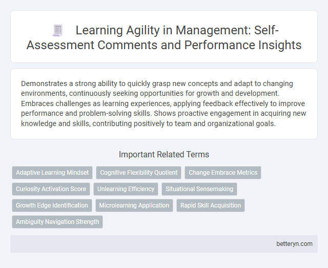 Learning Agility in Management: Self-Assessment Comments and Performance Insights