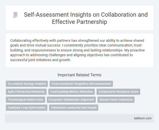 Self-Assessment Insights on Collaboration and Effective Partnership