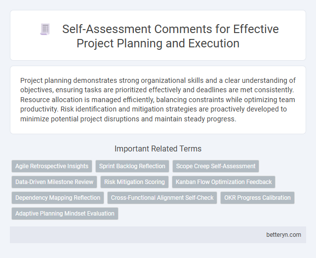 Self-Assessment Comments for Effective Project Planning and Execution