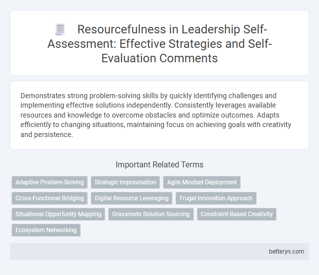 Resourcefulness in Leadership Self-Assessment: Effective Strategies and Self-Evaluation Comments